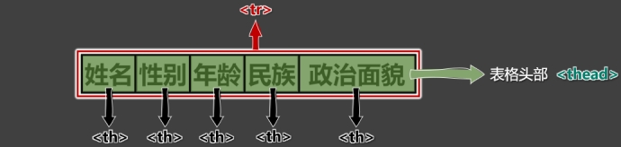 20240401163046-表格头部