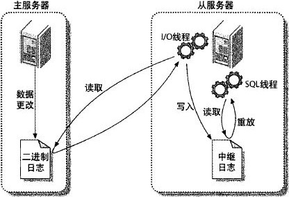 20250616101433-主从复制