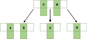 20250607132809-演变过程